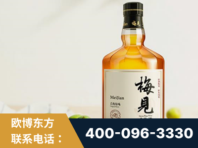 沁阳-梅见青梅酒
